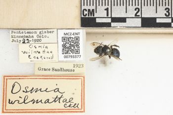 Media type: image;   Entomology 793377 Aspect: Labels